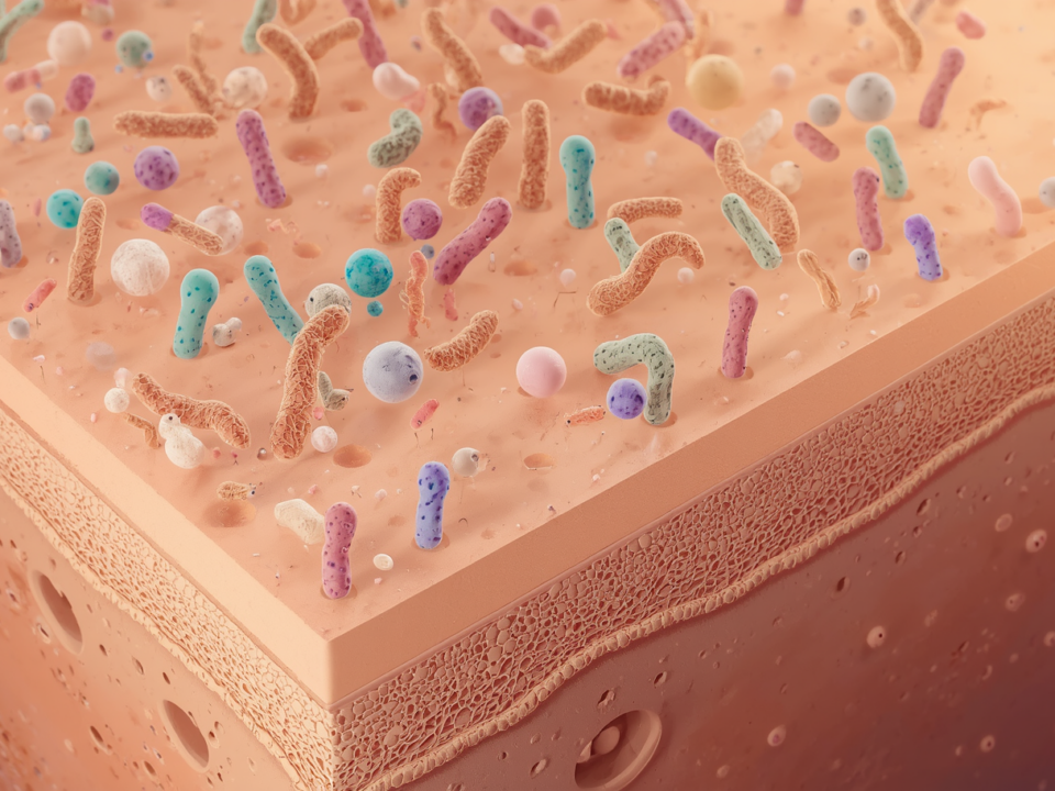 Le microbiome cutané
