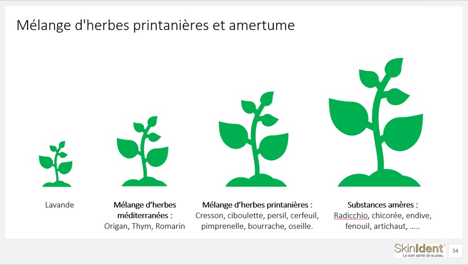 Les sources de substances amères